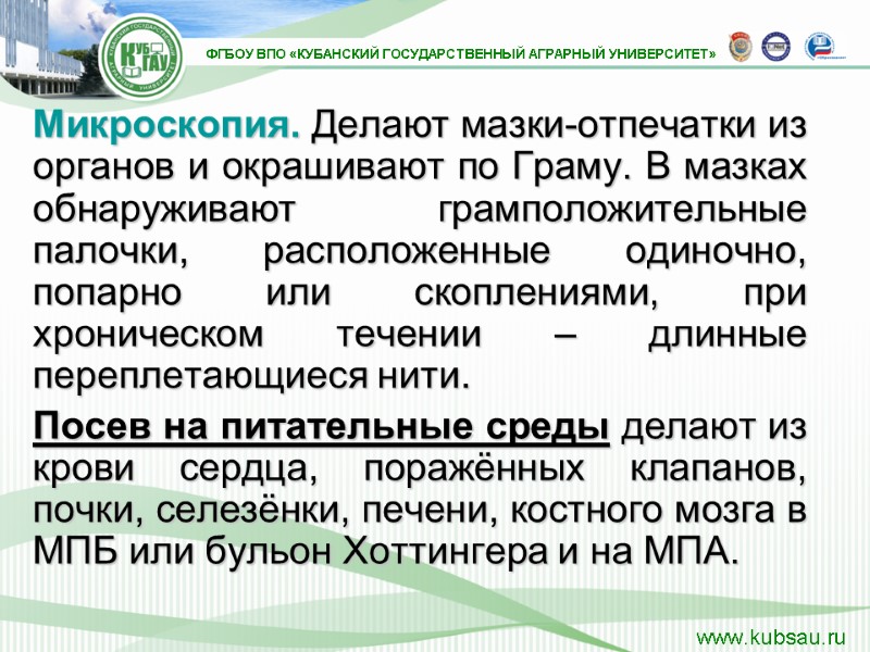 Микроскопия. Делают мазки-отпечатки из органов и окрашивают по Граму. В мазках обнаруживают грамположительные палочки,